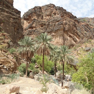 que faire en Oman : visiter Wadi Bani Awf