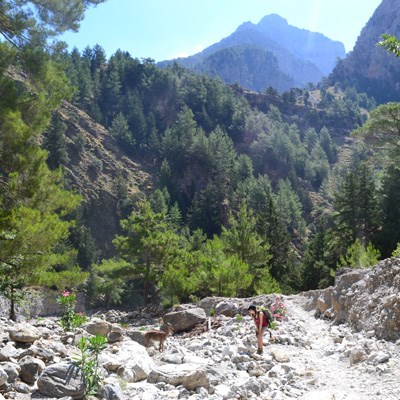 que faire en Crète : visiter Les gorges de Samaria