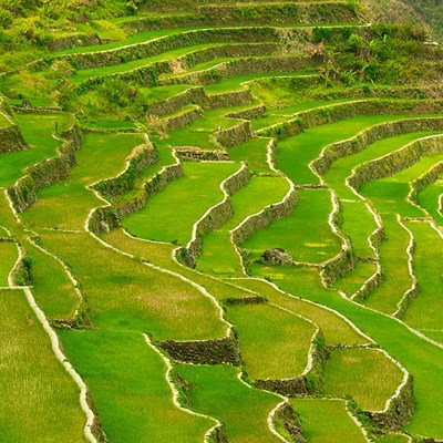 que faire aux Philippines : visiter Banaue