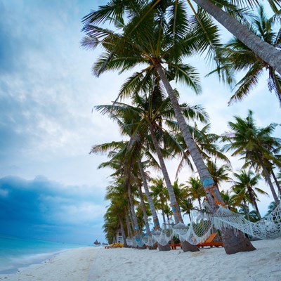 que faire aux Philippines : visiter L'île de Bohol