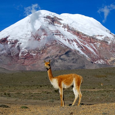 que faire en Equateur : visiter Chimborazo