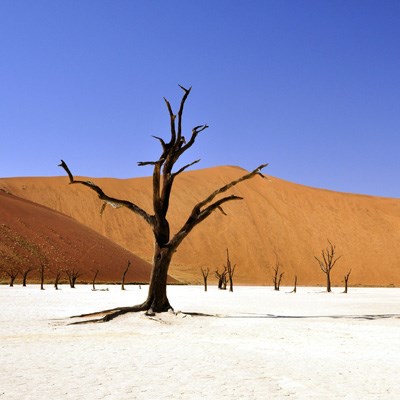 que faire en Namibie : visiter Le désert du Namib