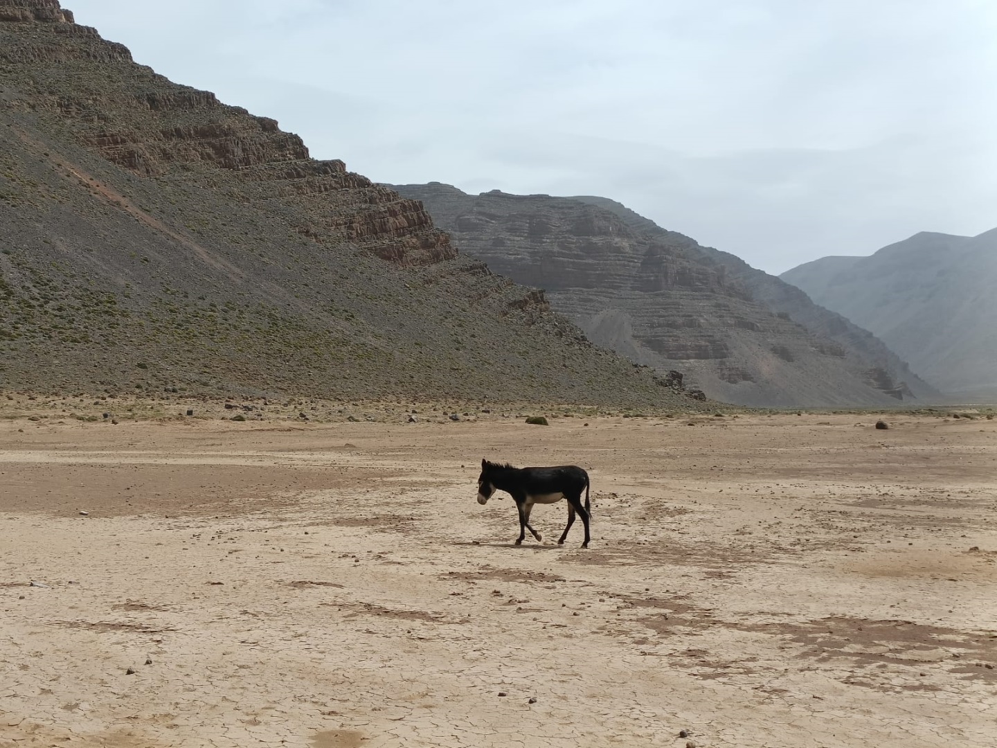 Maroc - Le Lac d'Izourar