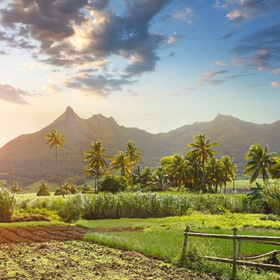 que faire à l' Ile Maurice : visiter Curepipe et trou aux cerfs