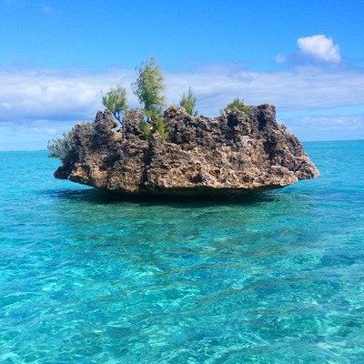 que faire à l' Ile Maurice : visiter L’île aux bénitiers