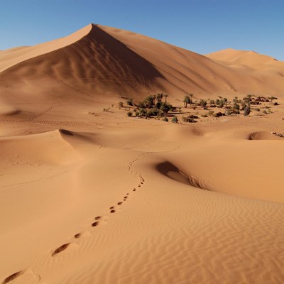 que faire au Maroc : visiter Les dunes de l'Erg Chebbi