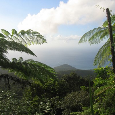 que faire en Guadeloupe : visiter Basse Terre