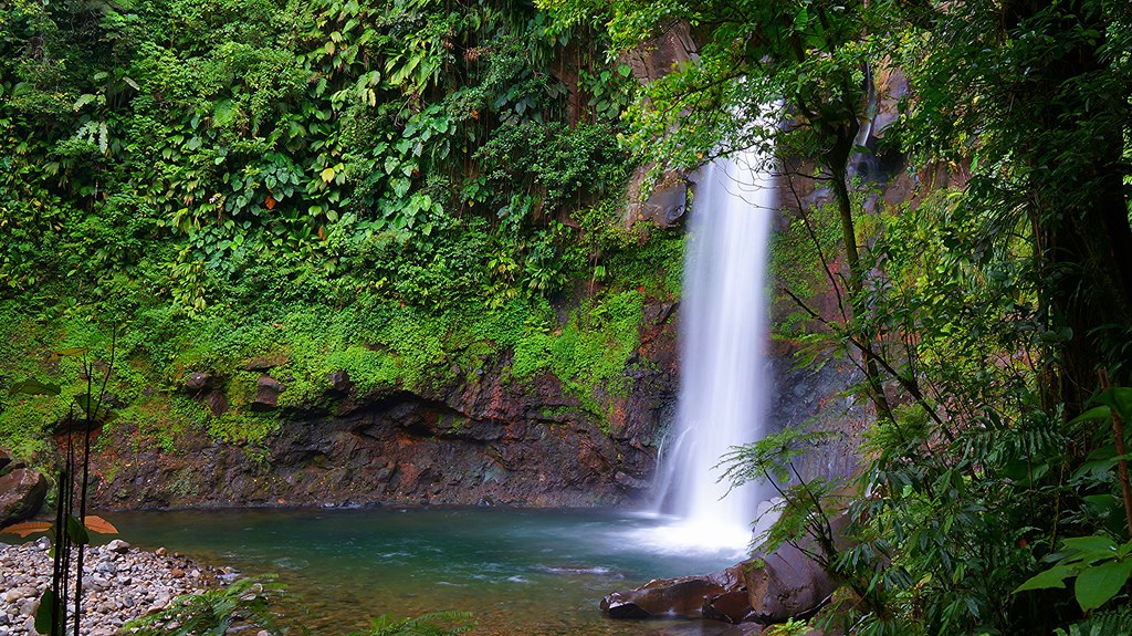 Visiter Les Chutes Du Carbet En Famille Avec Des Enfants