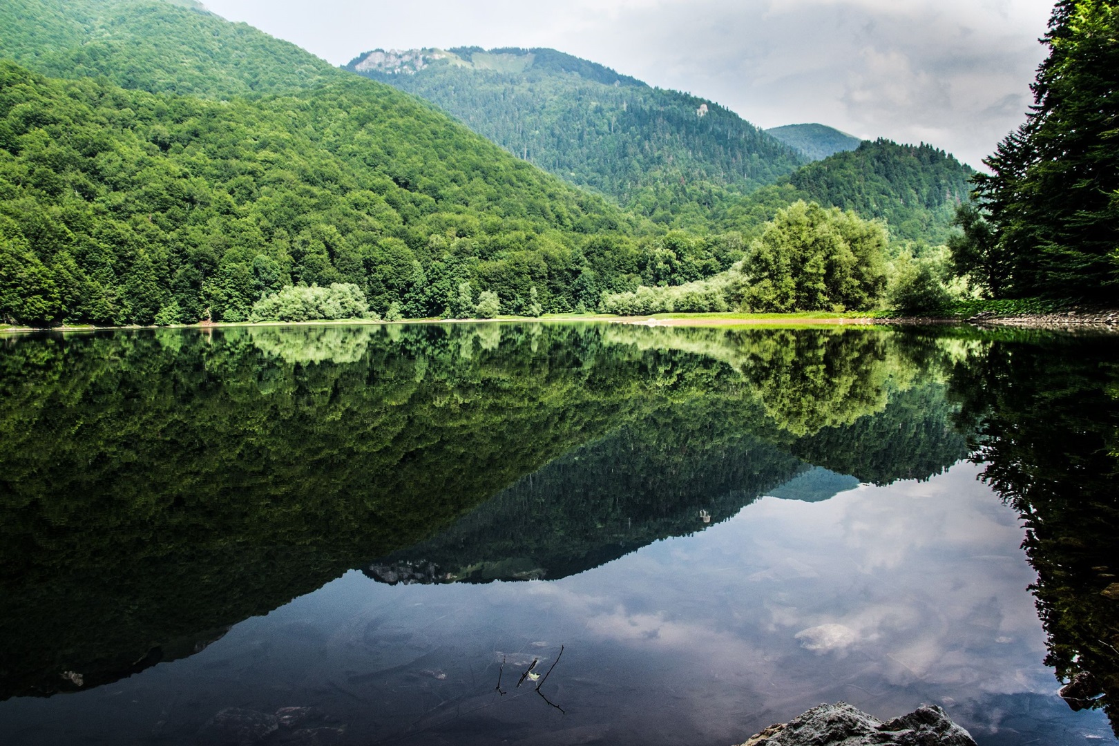 Visiter Le parc national de Biogradska Gora - Montenegro
