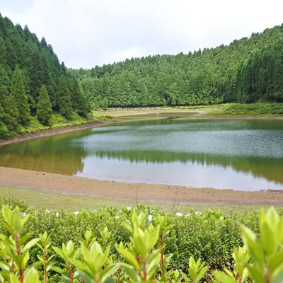 que faire aux Açores : visiter Le lac de Canario