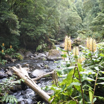 que faire aux Açores : visiter Salto Do Cabrito