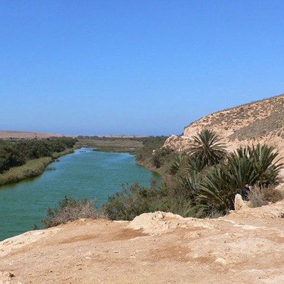 que faire au Maroc : visiter Le parc national de Souss Massa