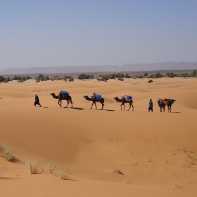 que faire au Maroc : visiter Les dunes de Nesrate