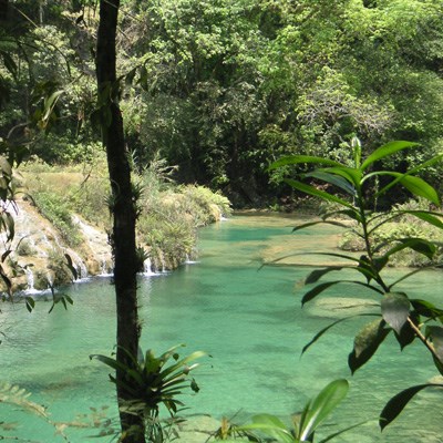 que faire au Guatemala : visiter Le parc naturel de Semuc Champey