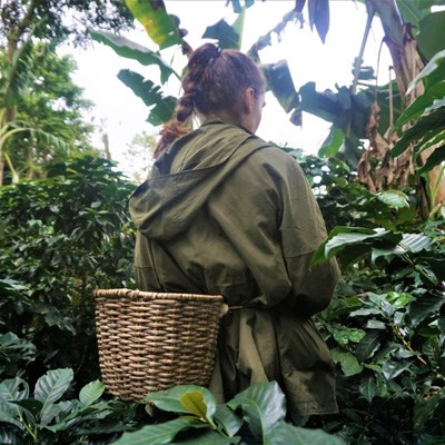que faire en Colombie : visiter La région du café
