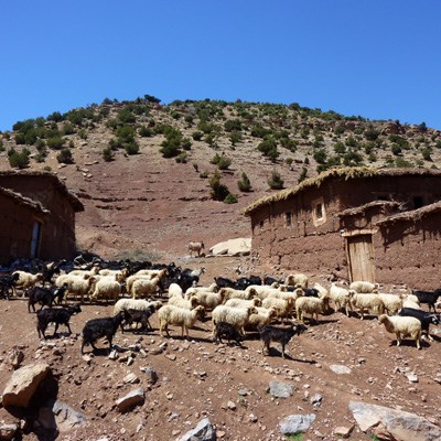 que faire au Maroc : visiter Tabant