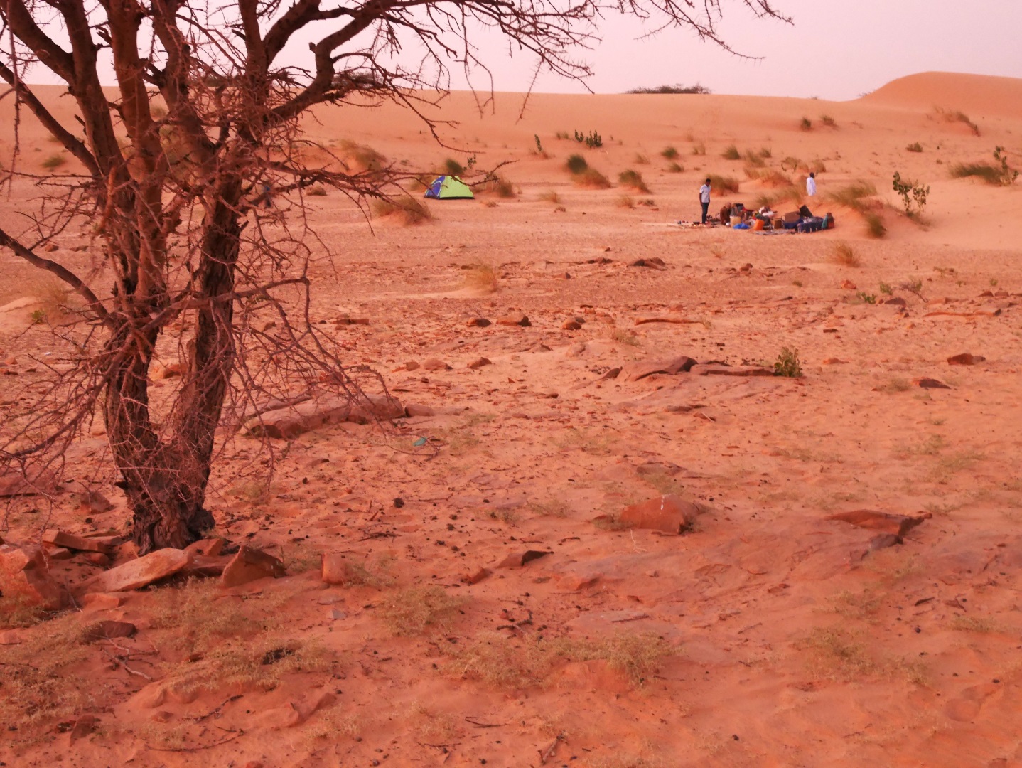 Visiter Atar - Mauritanie
