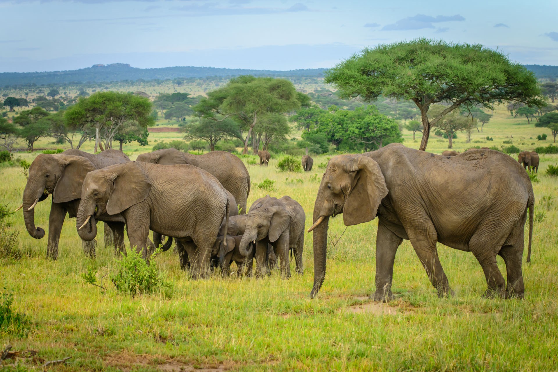 masai mara visit