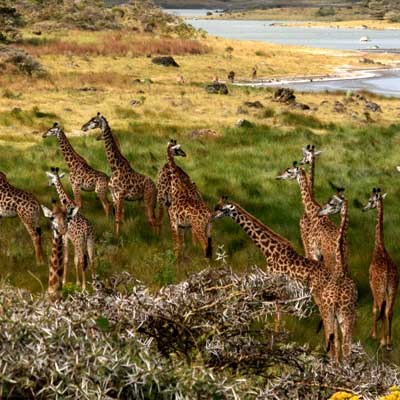 que faire en Tanzanie : visiter Arusha