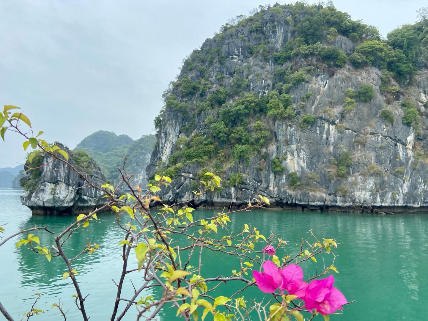 Vietnam - La Baie d'Halong