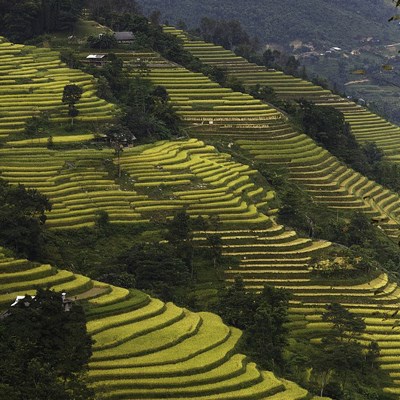 que faire au Vietnam : visiter La Province de Lao Cai