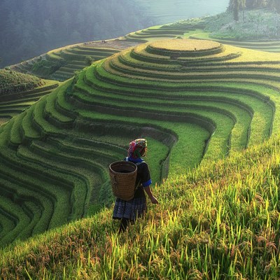 que faire au Vietnam : visiter Sapa