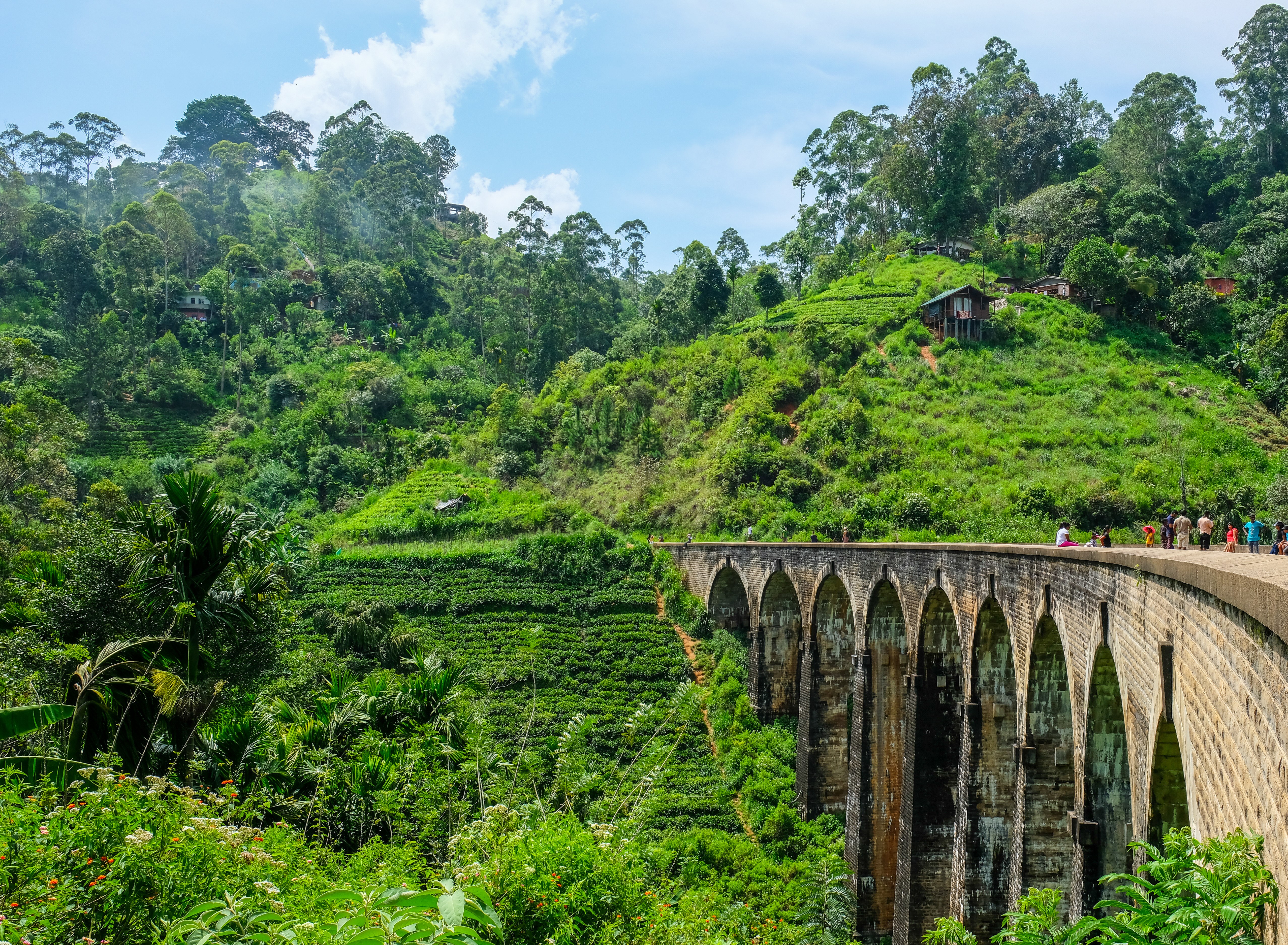 copines de voyage sri lanka