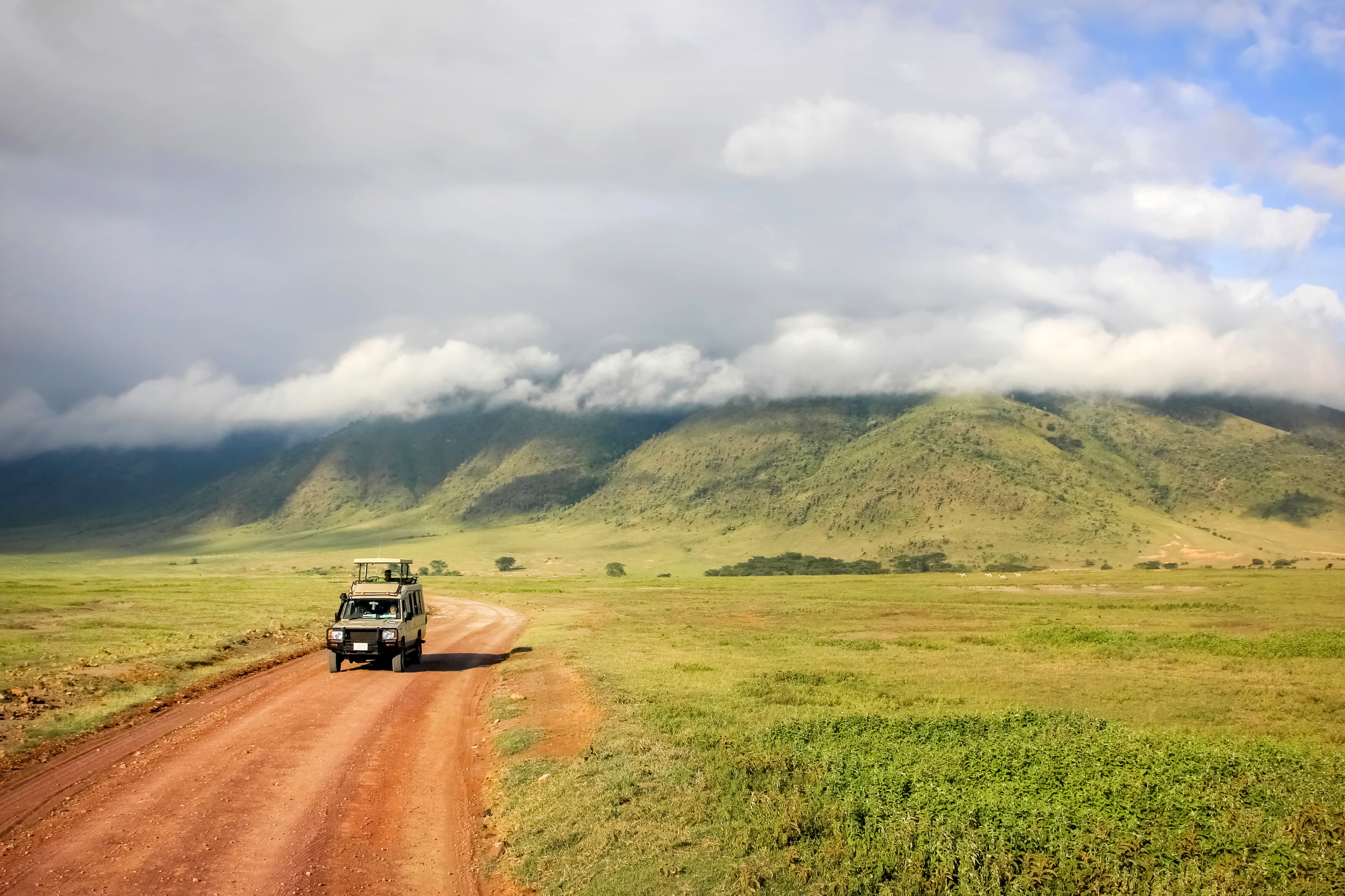 Ngorongoro