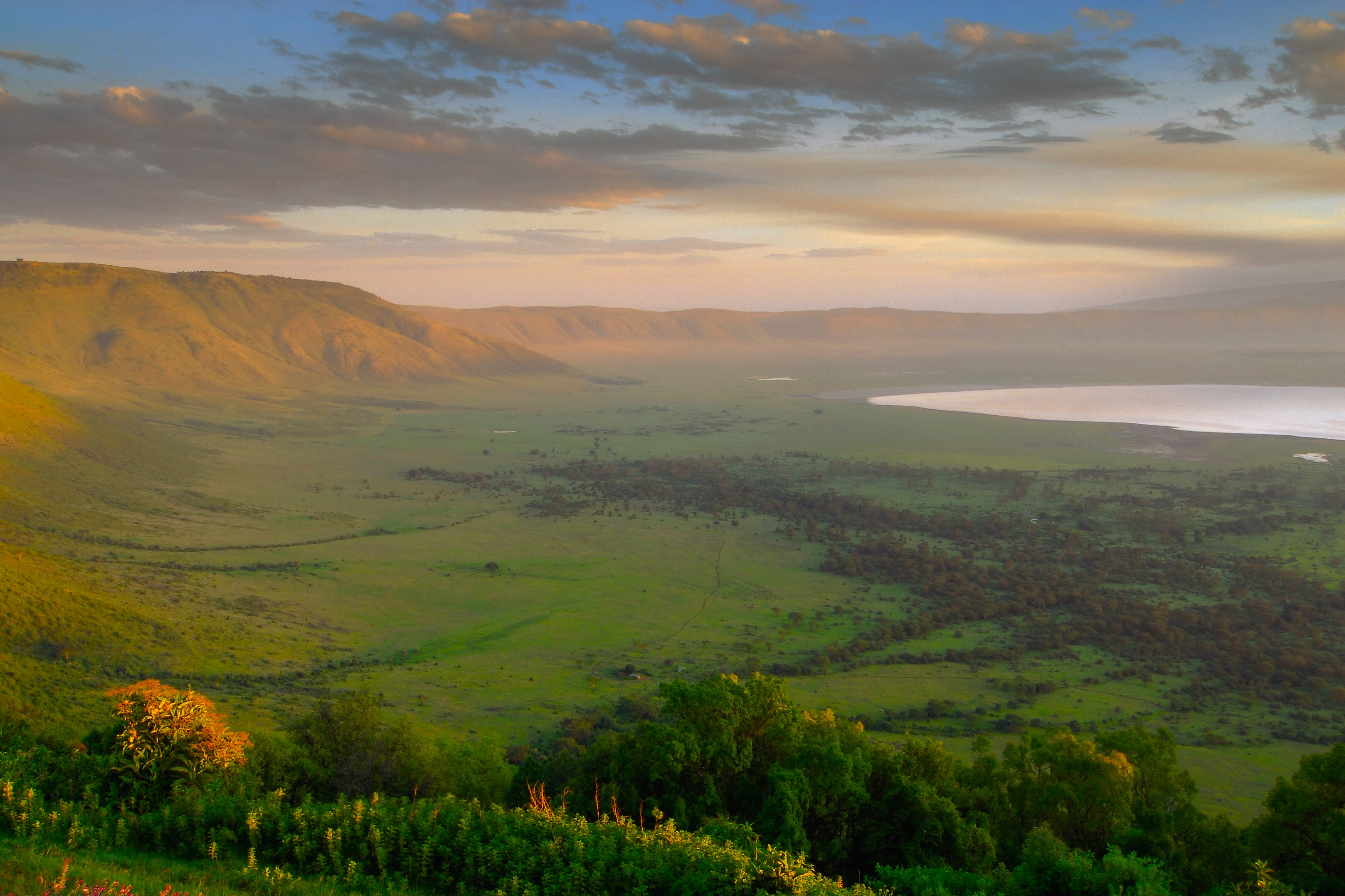 Ngorongoro