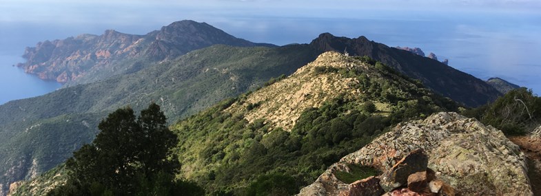 Circuit Corse - Jour 6 : Girolata - Palmarella - Ajaccio