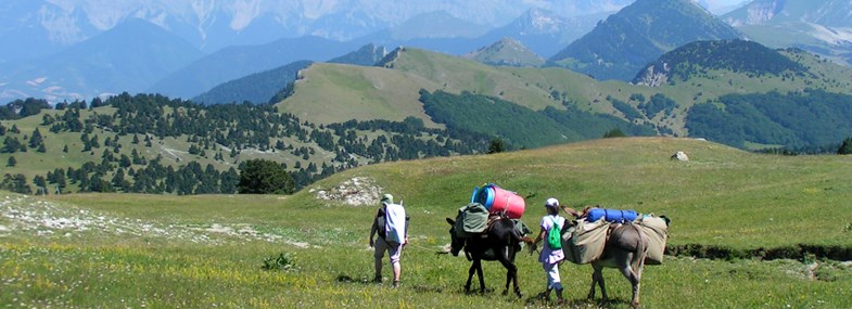 Circuit Rhône-Alpes - Jours 5 et 6 : Randonnée avec des ânes