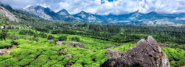 Circuit Inde - Jour 11 : Mararikulam