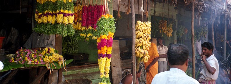Circuit Inde - Jour 5 : Munnar - Madurai