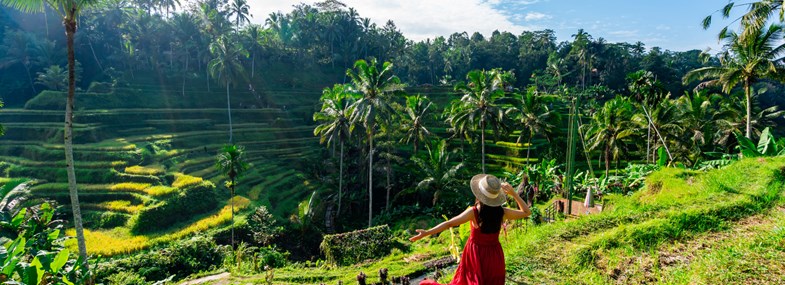 Circuit Indonesie - Jours 1 & 2 : Vol pour Bali