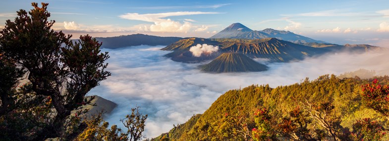 Circuit Indonesie - Jour 5 : Yogyakarta - Bromo