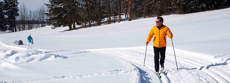 Circuit Laponie - Jour 6 : Randonnée ski nordique (ou raquettes)