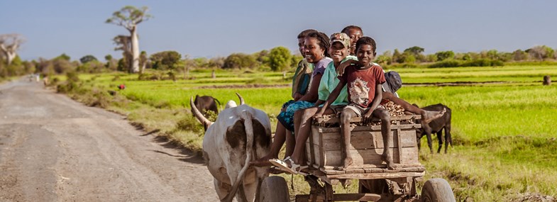 Circuit Madagascar - Jour 3 : Antsirabé - Betafo - Miandrivazo