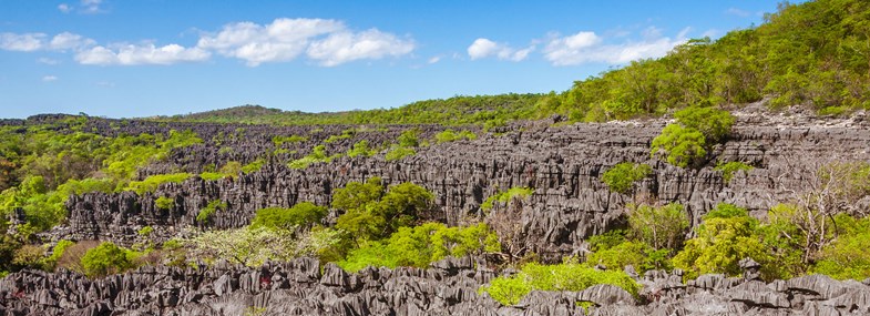 Circuit Madagascar - Jour 4 : La réserve de l'Ankarana