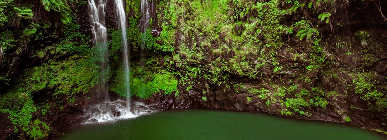 Circuit Madagascar - Jour 7 : Le Parc National de la Montagne d’Ambre - Ankarana