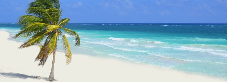 Circuit Mexique - Jour 11 : Vol retour pour la France