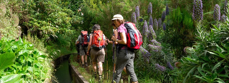 Circuit Madère - Jour 13 : Boaventura