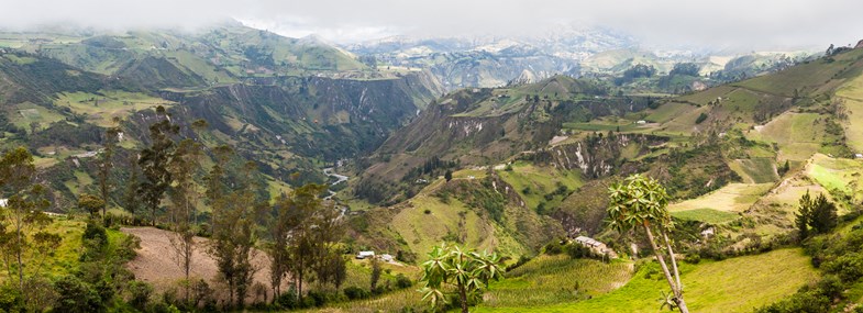 Circuit Equateur - Jour 6 : Saquisili - Plantations de roses - Chugchilan