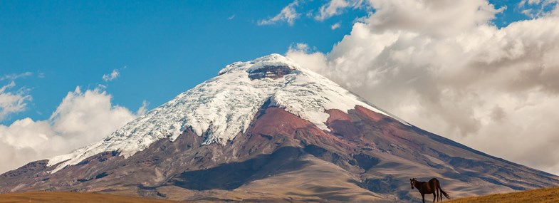 Circuit Equateur - Jour 8 : Lasso - Antisana - Tababela