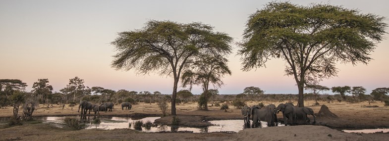 Circuit Namibie - Jour 3 : Parc national Waterberg