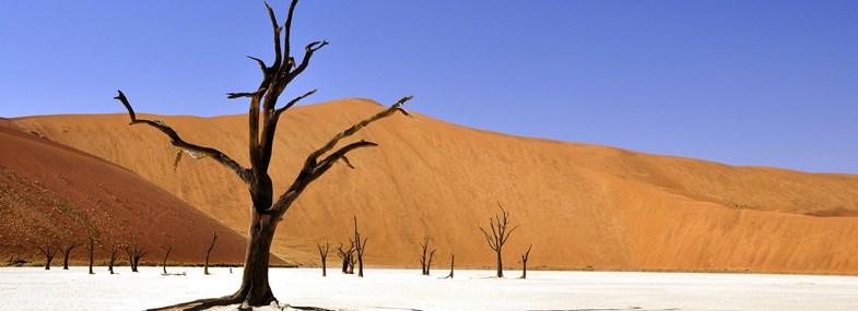 Circuit Namibie - Jour 9 : Swakopmund