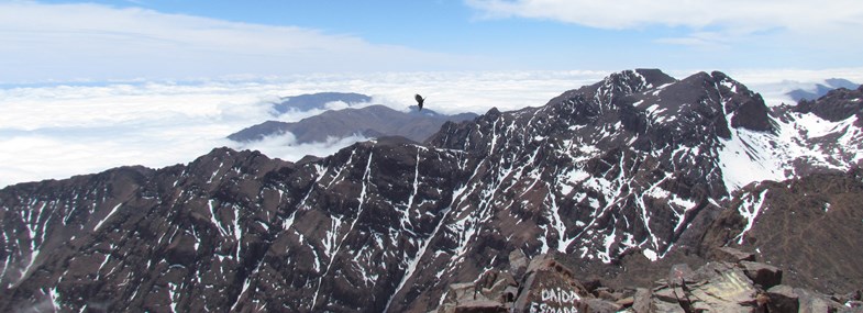 Circuit Maroc - Jour 4 : Tizi Aouray - Lac d'Ifni