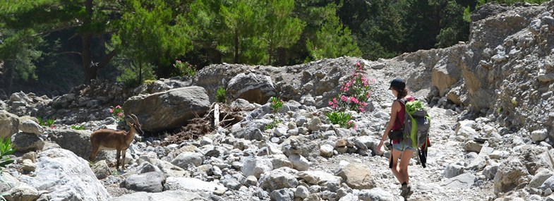 Circuit Crète - Jour 5 : Agia Roumeli - Gorges de Samaria - Loutro