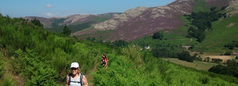 Circuit Occitanie - Jour 7 : Fin du séjour