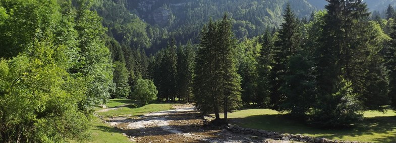 Circuit Rhône-Alpes - Jour 2 : Plateau du désert d'Entremont