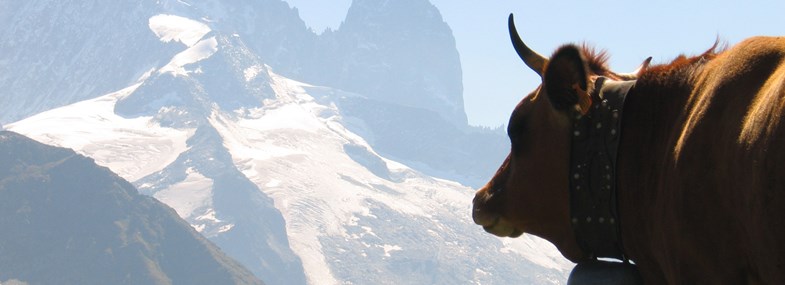 Circuit Rhône-Alpes - Jour 4 : Alpages de Bovine - Collet Portalo - Col de la Forclaz